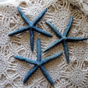 Three Blue Starfish